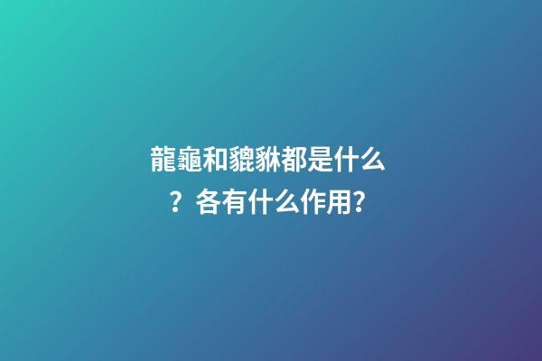 龍龜和貔貅都是什么？各有什么作用？